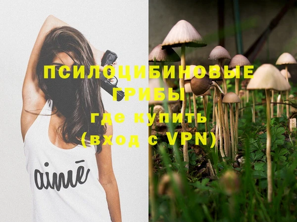 тгк Абаза