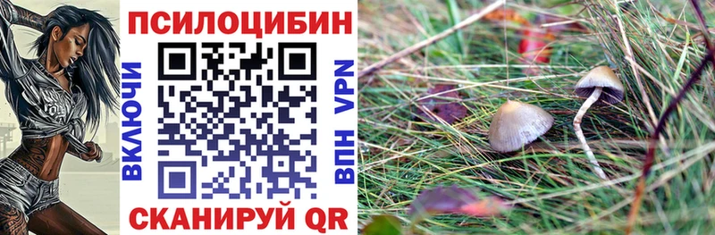 Псилоцибиновые грибы мицелий  Карабулак 